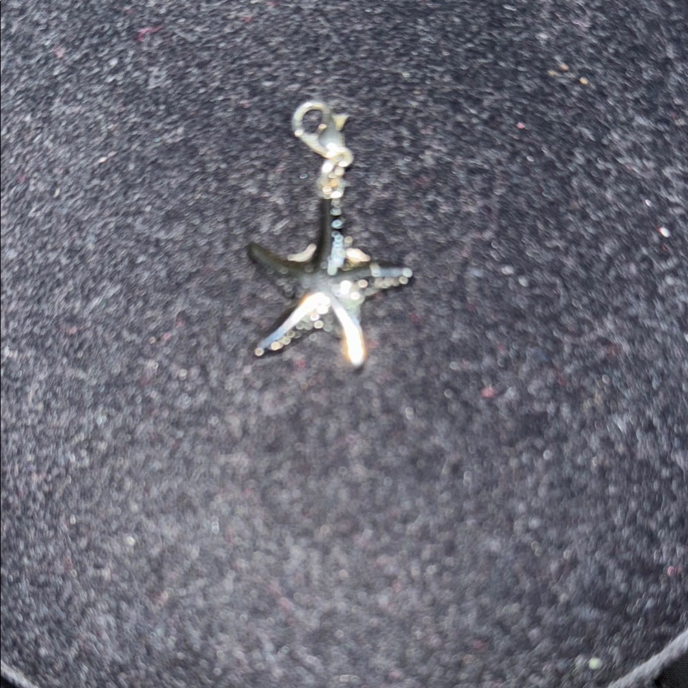 ⭐️Starfish Pendant Charm